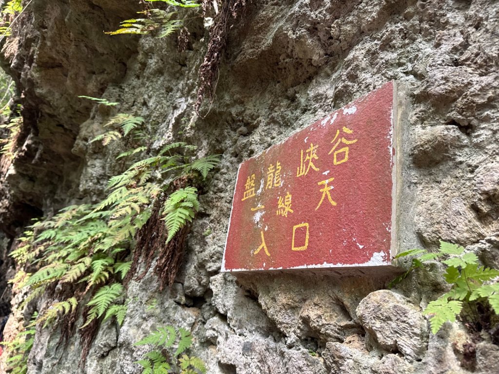 大崗山(小百岳#74)龍盤峽谷一線天_2764643