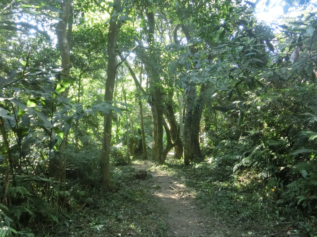 新溪洲山．溪洲山_237118