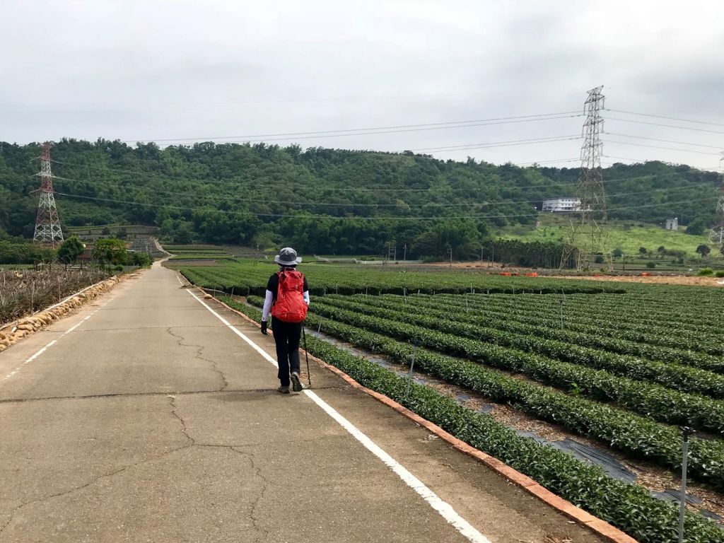清水岩十八彎走橫山_352959