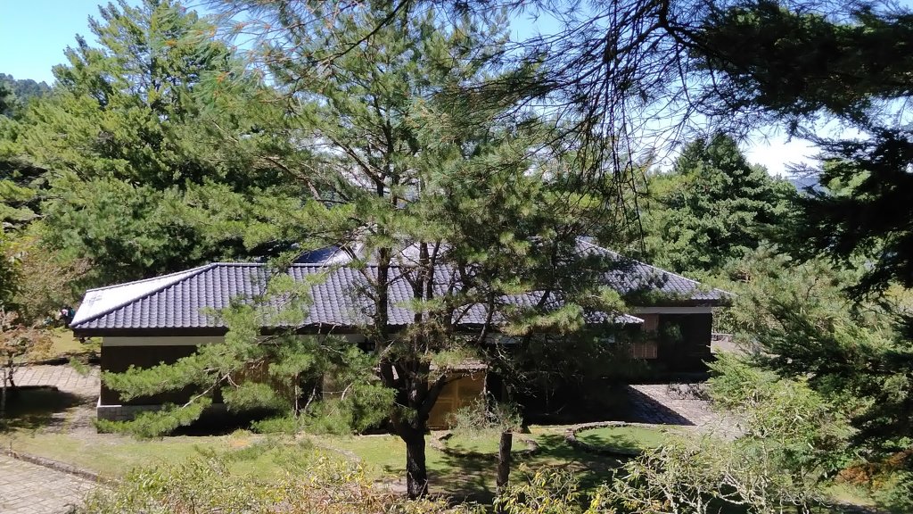 嘉義 阿里山 鹿林山、鹿林前山、真鹿林山、石水山_1487564