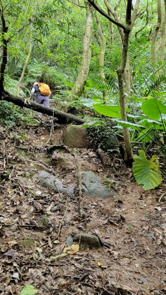 簡厝-鵝尾山-內厝-20240609_2600747