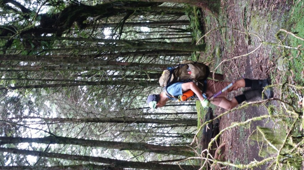 雙龍林道上巒安堂西巒大山_1778563