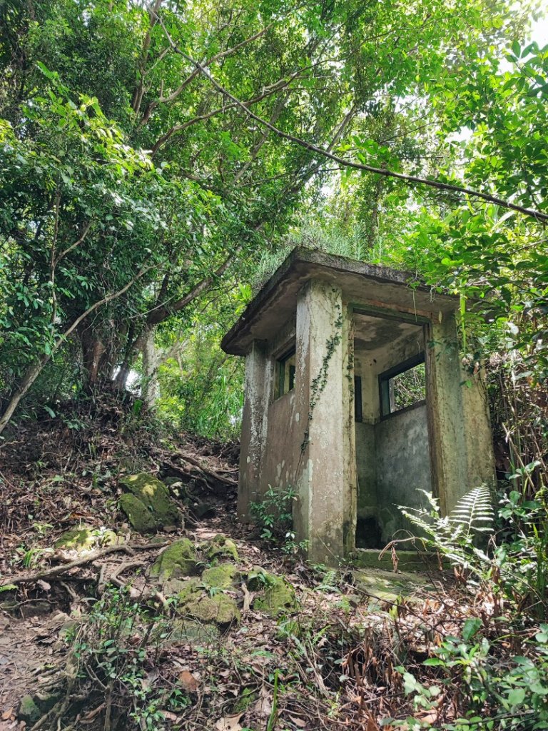 溪洲山-小百岳#23-桃園市大溪區_2248439