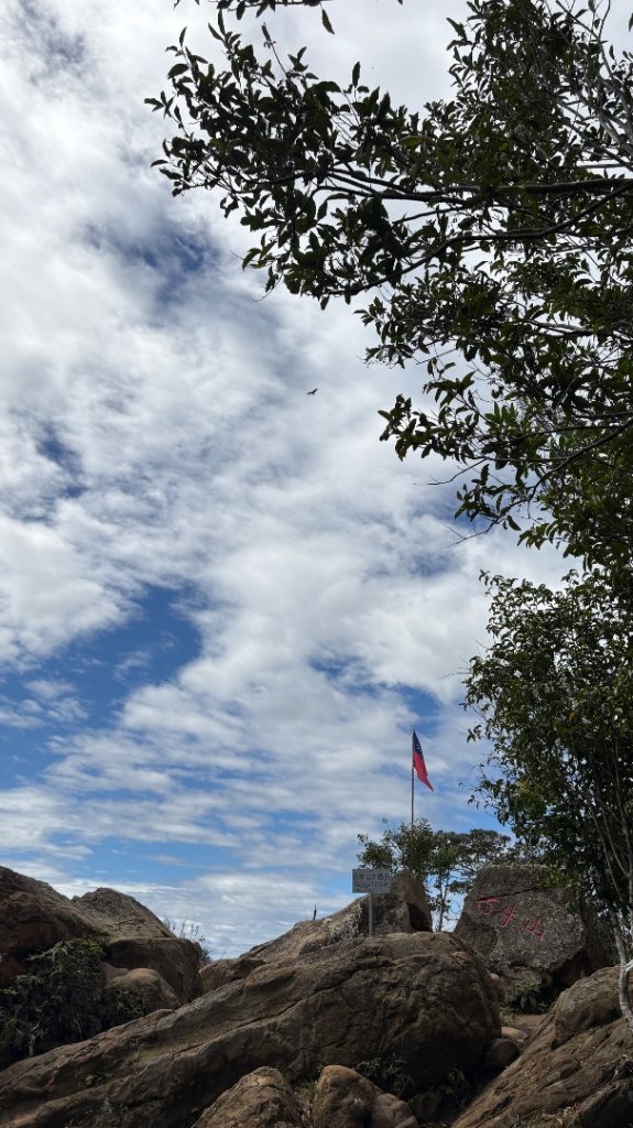 與猛禽共舞_3008424