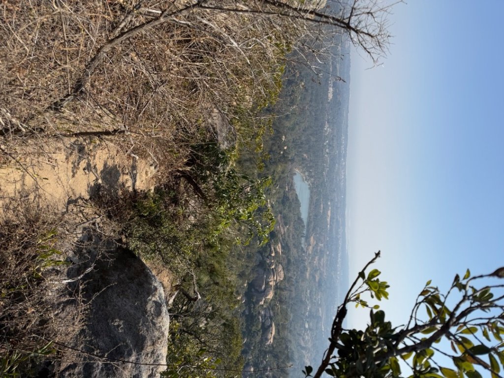 太武山大縱走路線_2692290