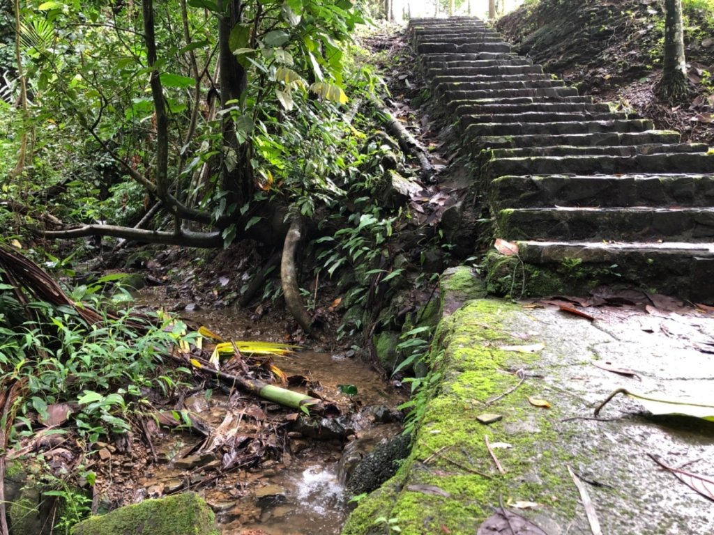 嘉義連峰獨立山大巃頂紅楠坑觀音石阿拔泉_633153