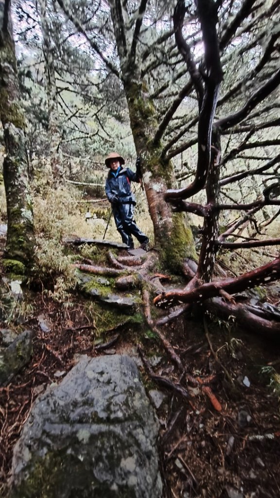 新康五天~戒茂斯進，出瓦拉米_2949698