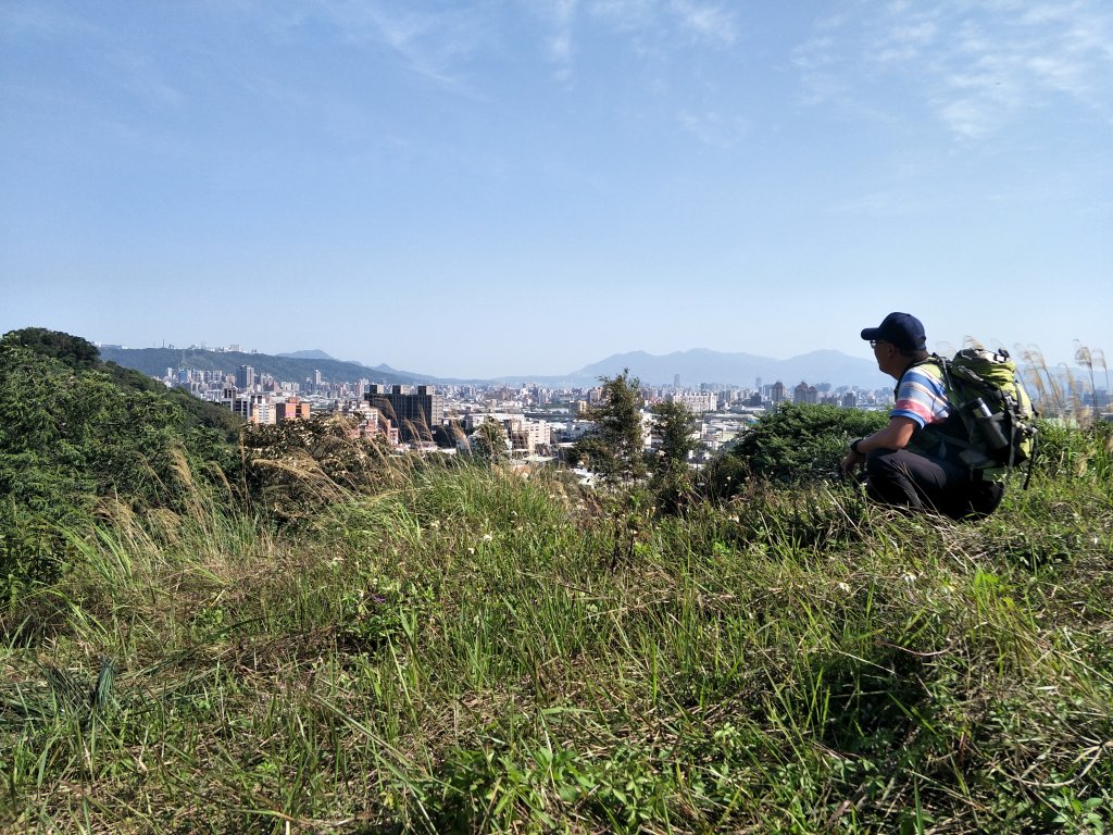 2020 03 16 樹林大棟山_881386