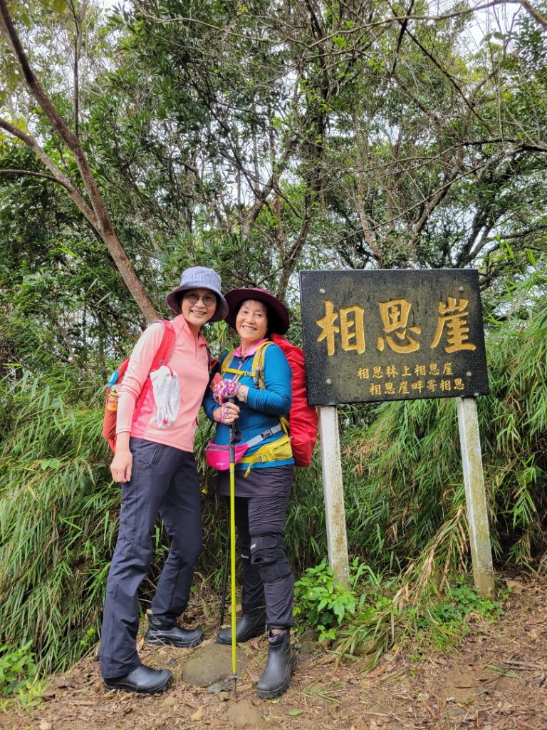 112.01.05 新竹芎林-飛鳳山、觀日坪古道_1982953