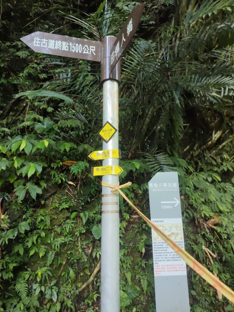 馬胎古道、南坪古道封面圖