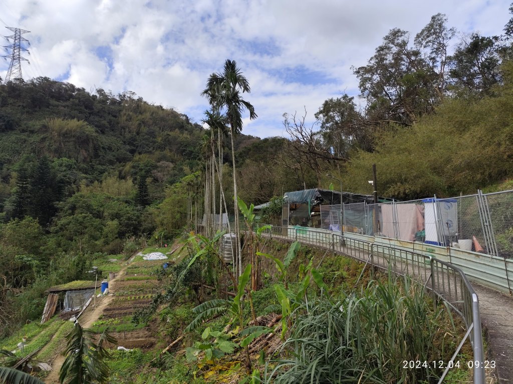 【臺北大縱走 6】中華科大→九五峰→南港山→拇指山→妙高臺→糶米古道→忠正嶺安祿宮→世界山莊→軍功山_2662730