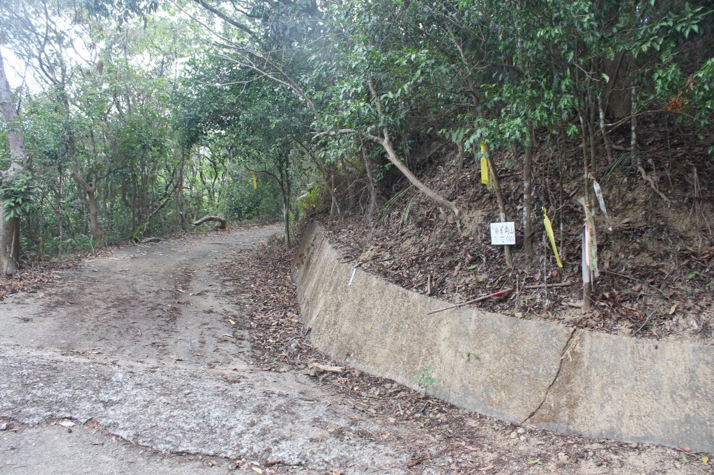 20230429高雄月茶縱走_2138567