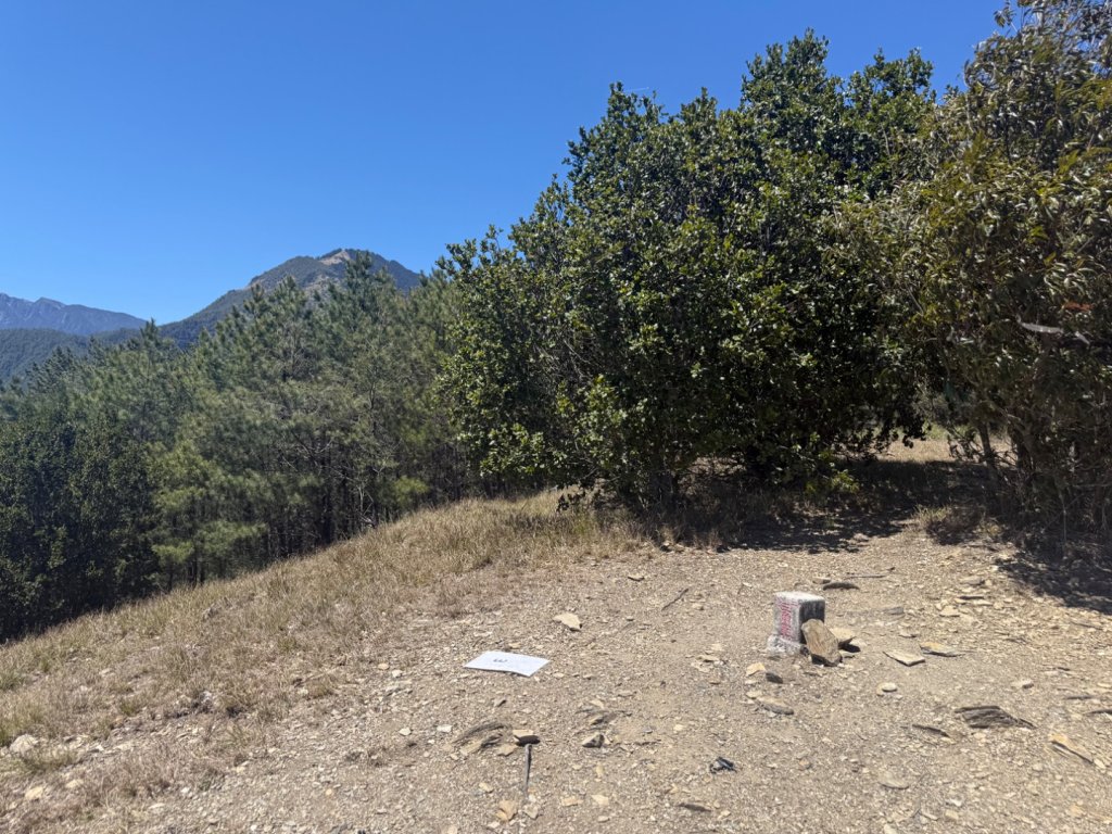 馬武霸O型_2745316