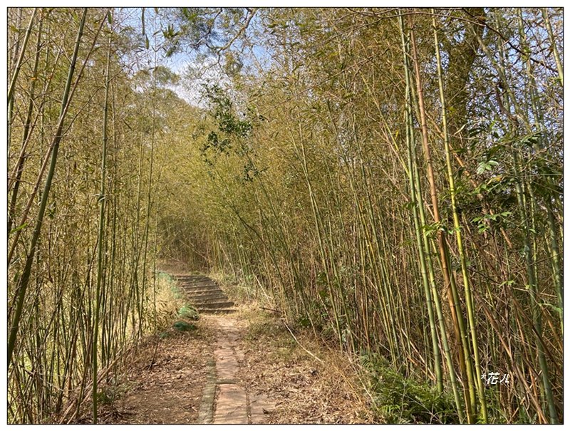 火炎山、龍峎頂步道 O型路線_2783768