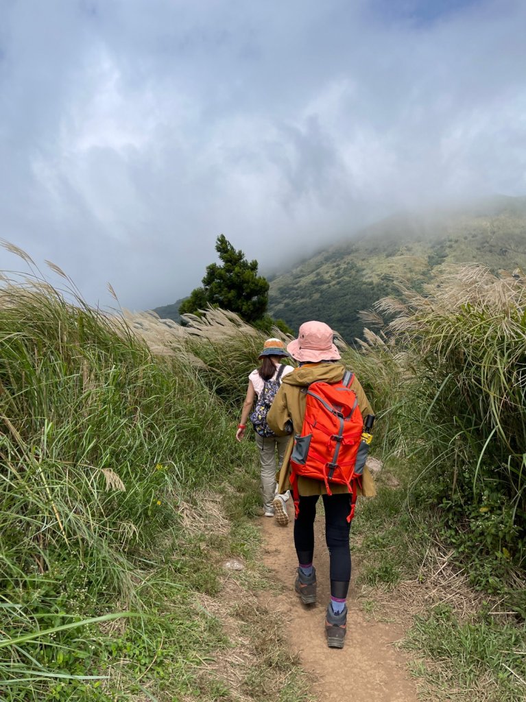 臺北大縱走2：二子坪到小油坑_1486969