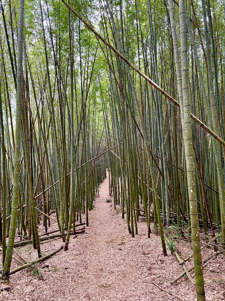 石壁木馬古道_1623536