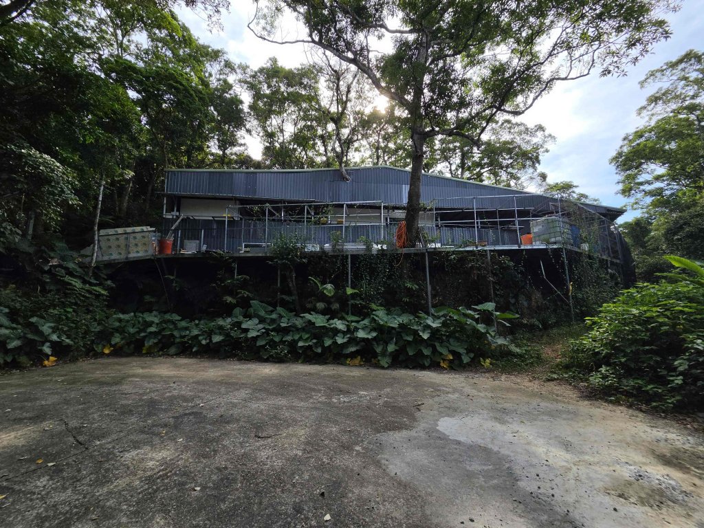 20260526萬順寮山-龍谷山主東峰封面圖