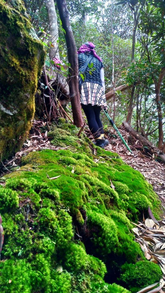 日月潭【大尖山】2020/09/20_1106477