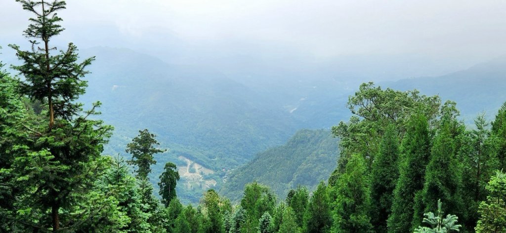 【中級山】來過一次，你不會忘記它的名字，新竹油羅山_2743724