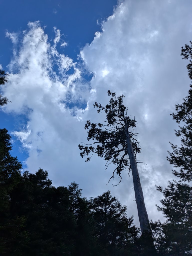 結界縱走三日(結城山、境界山、檜山)_2920914