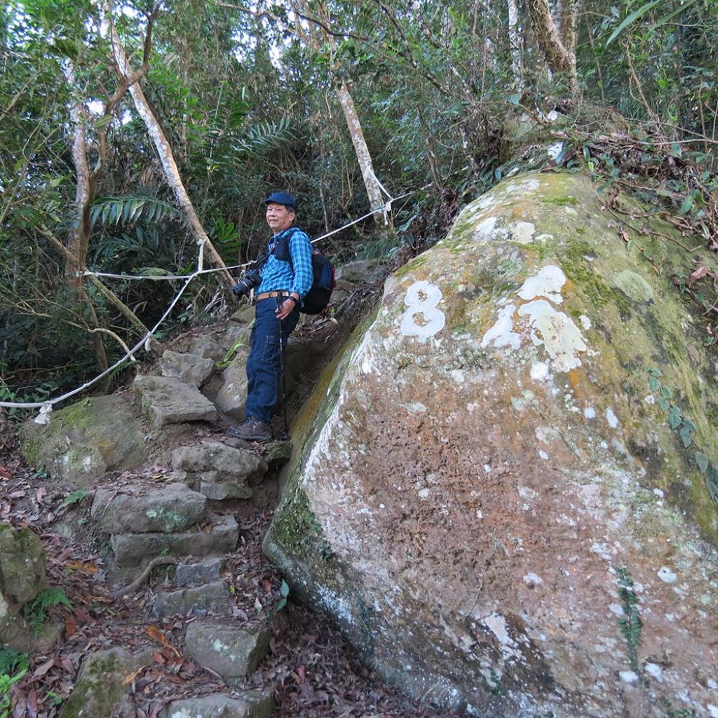 苗栗獅潭仙山O型_313168