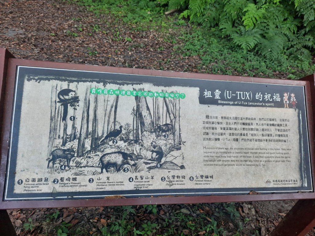 雙十霞喀羅_1484597