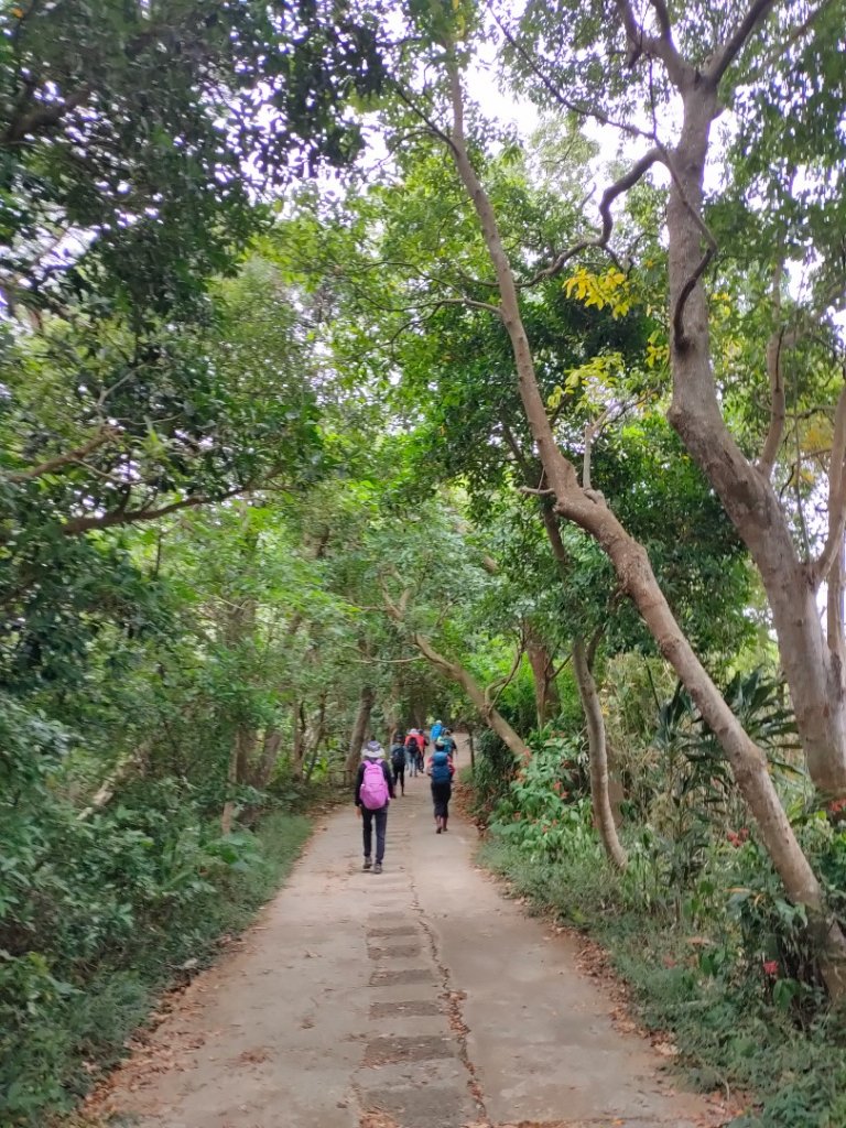 ［金劍縱走］（金面山~劍潭山）（2023/11/14）_2352866