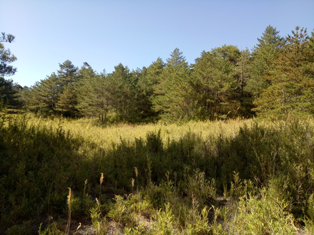 將軍廟上天鑾池+武法奈尾山_1881015