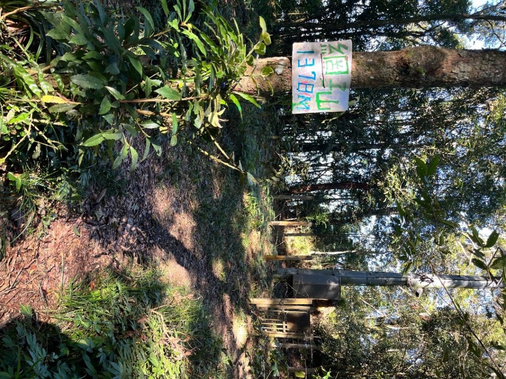 20251116_鳴海山（高雄小百岳）_2941549