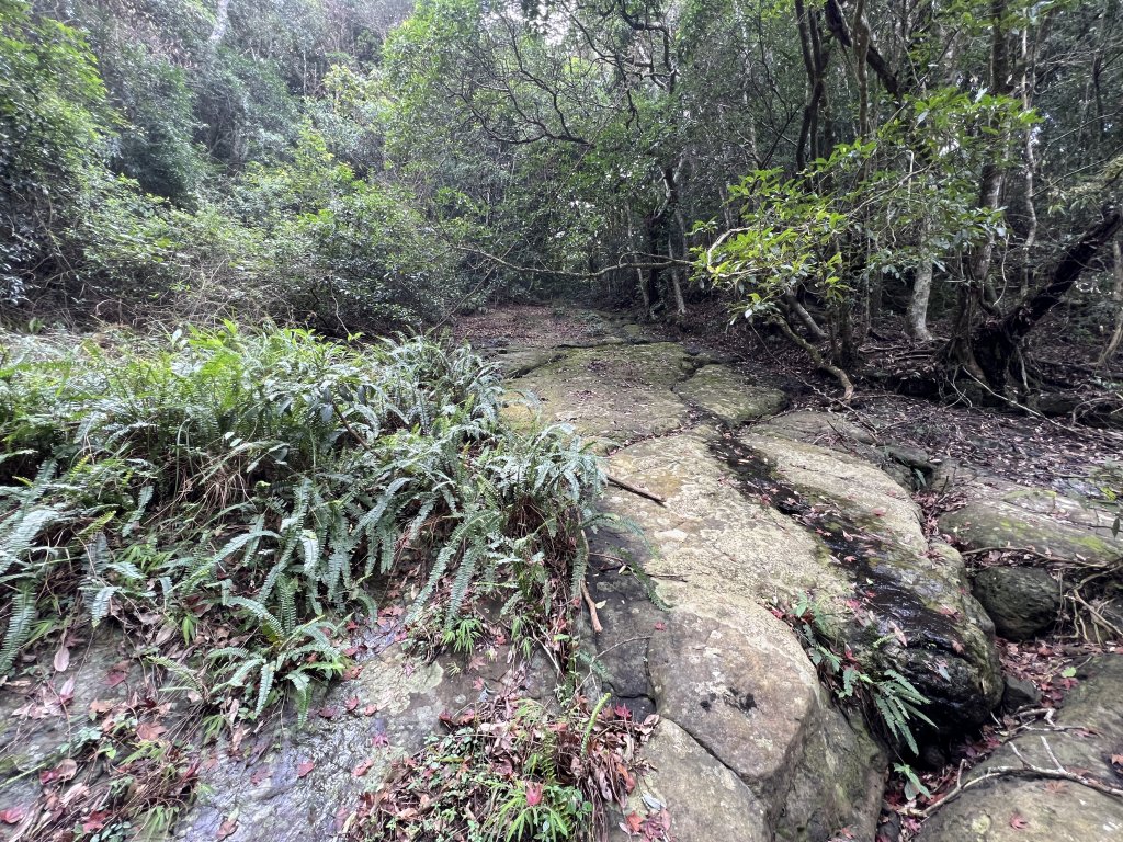 2023-08-13 馬那邦山（馬拉邦山）_2251264