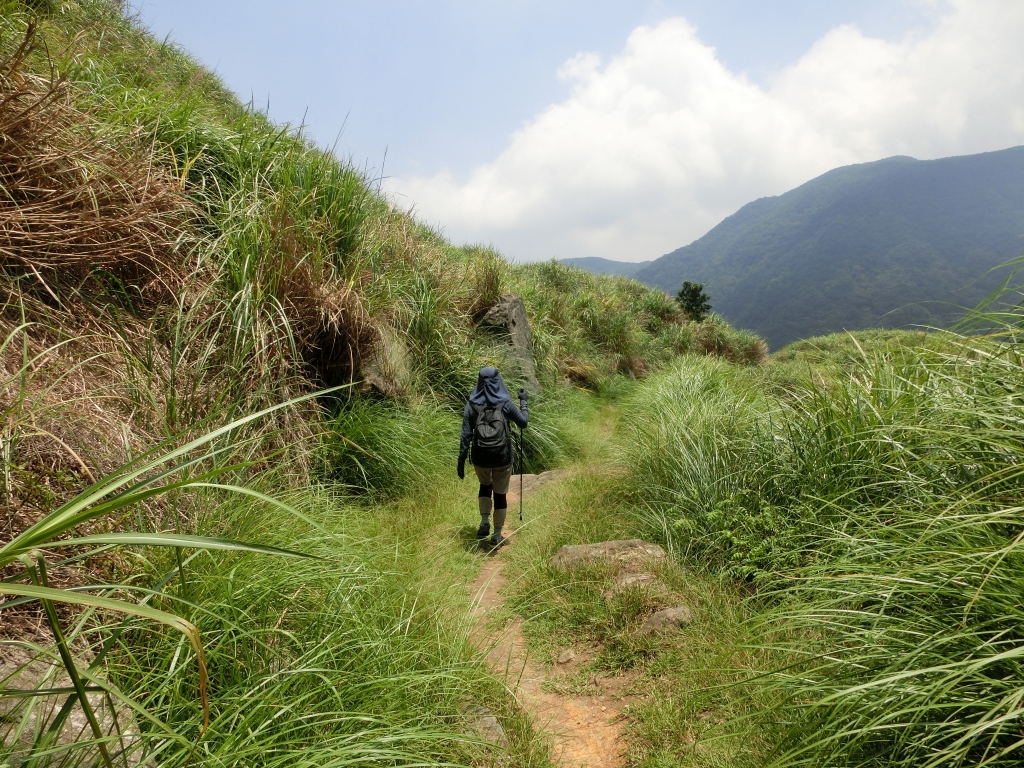 冷擎步道．日人路．魚路古道_94256