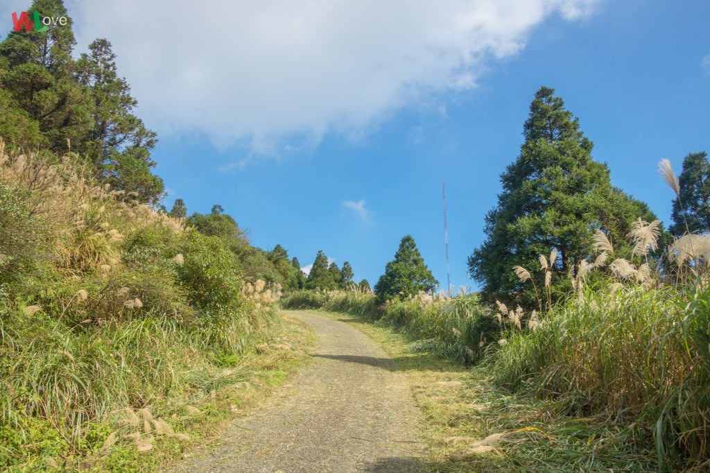 WL 愛旅行【小觀音山】_498659