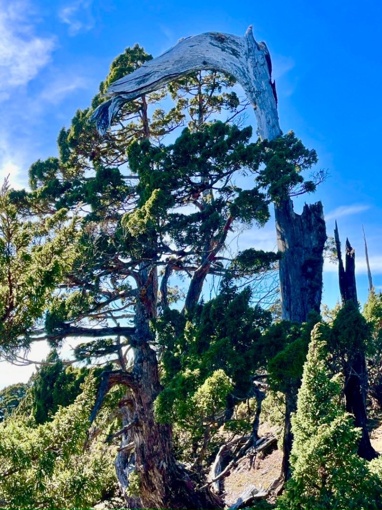 啟動高山度假模式~金牌三小隊之馬博橫斷8日_2965236