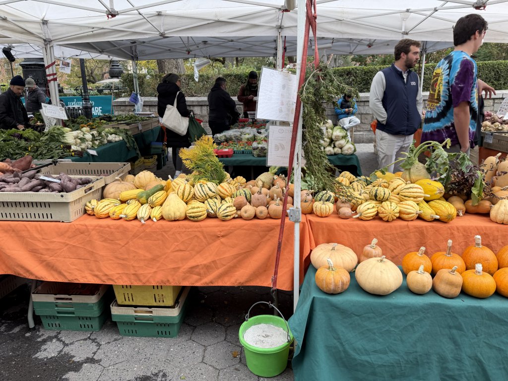 [紐約馬之行-02] 2025_1031 聯合廣場(Union Square)_2943374