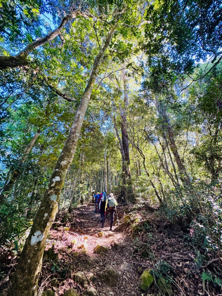 九穹神木 左訪嘉南雲峰 右到好望角看風景上石壁山(小百岳#55)_2944771