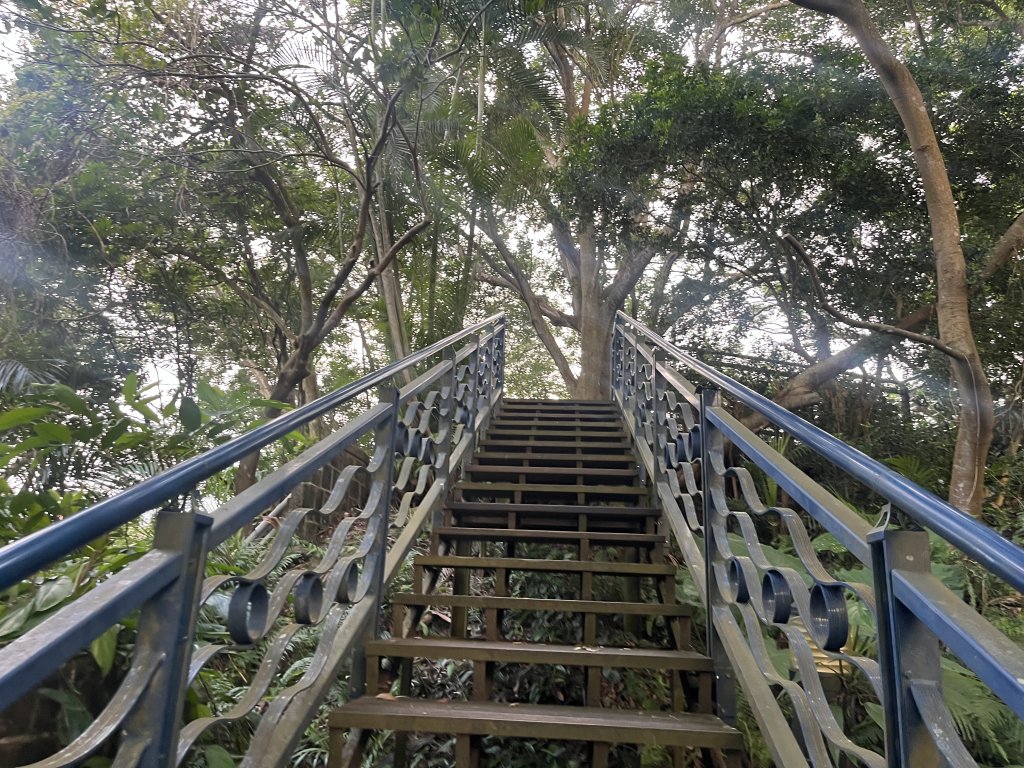 [百山百鳥尋旅-01/15] 2025_0807 和美山步道_2854544