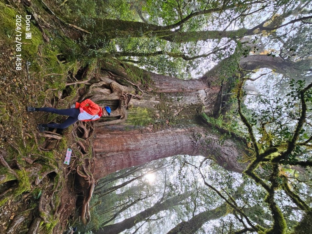 追趕跑跳蹦的羅馬縱走_2666241