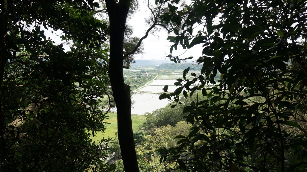 新溪洲山之樂_400293