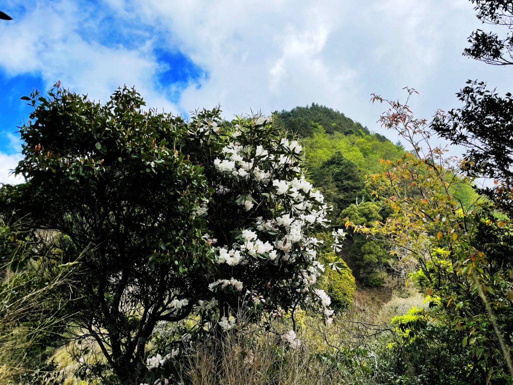 奮勇挺進 守城大山 - 明潭/南峰/守關山/守城大山_1687665