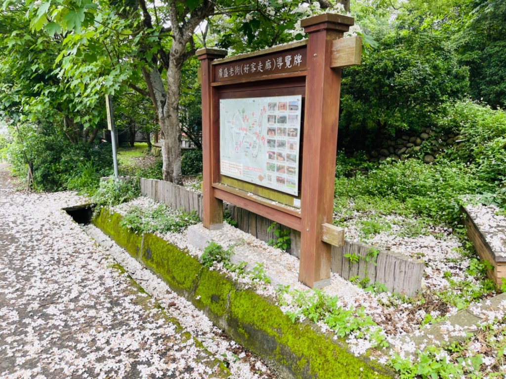 1110120大坑尾山.慈濟山.三義山0411_1703768