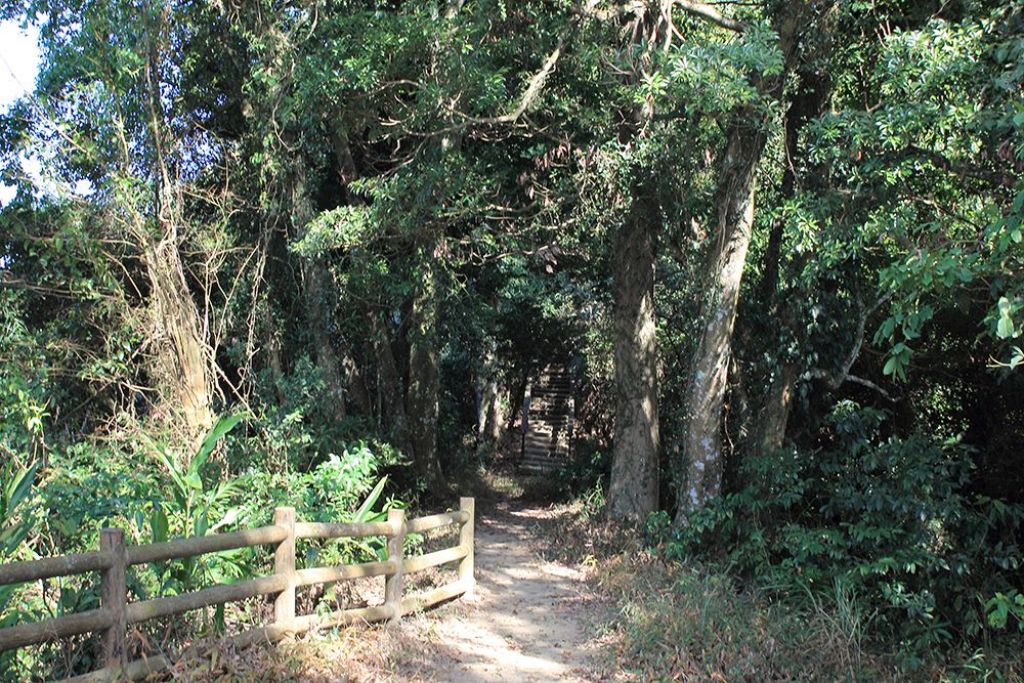 南庄勸化堂_獅頭山Ｏ型_302645