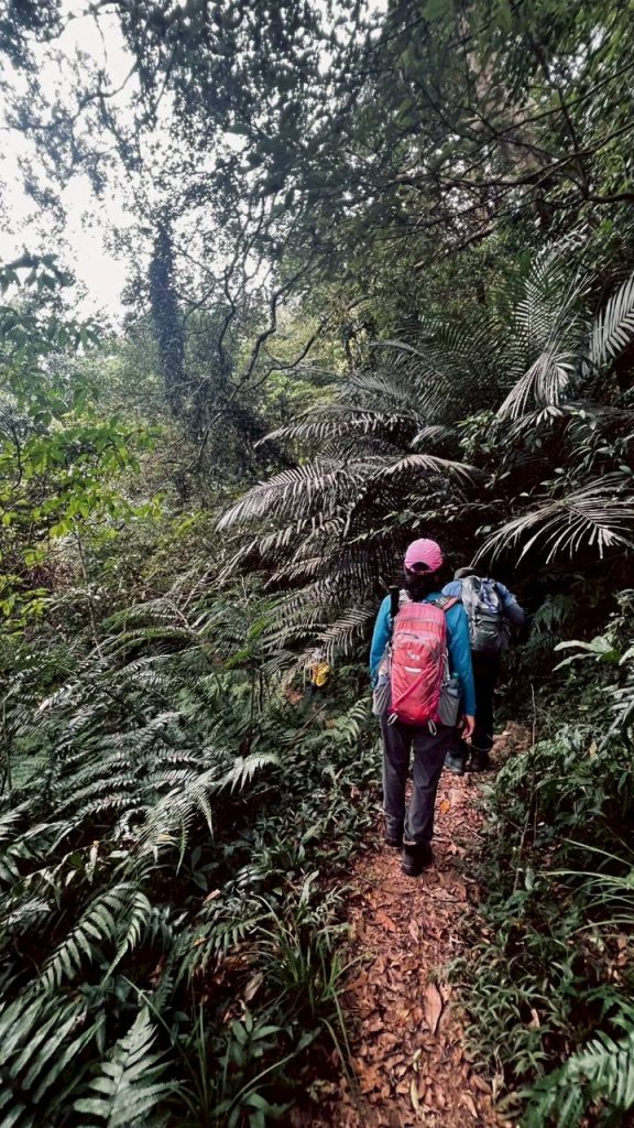 🌈10/19（日）雙石縱走（石牛+石門）✨FB：熊熊趴爬走🌈_2921469