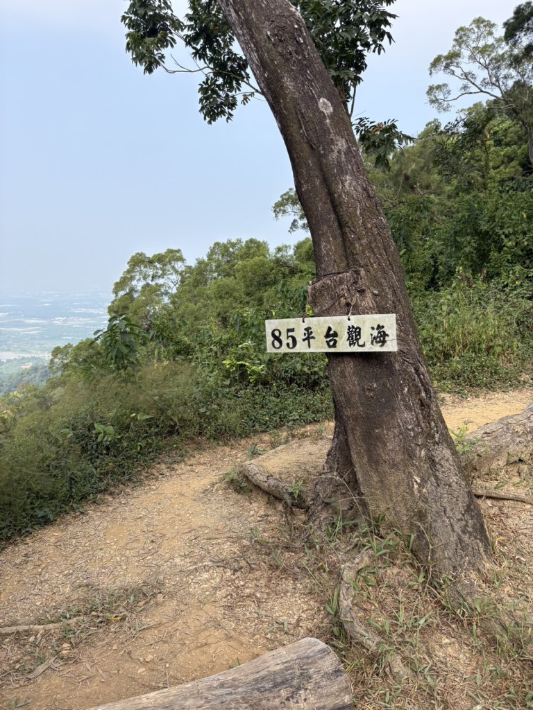 20251109棚集山步道_2935254