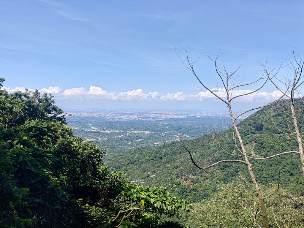 塘湖古道看到的花花草草封面圖