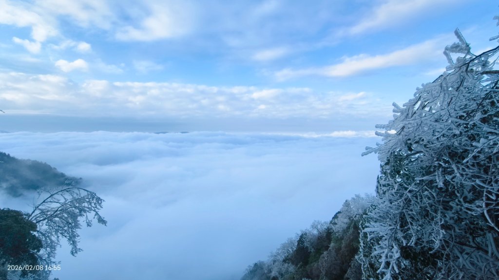 #霧淞 #雲海 #雲瀑 #霧虹 #太平山 #望洋山 #觀雲步道 #翠峰道路  2/8_2995316