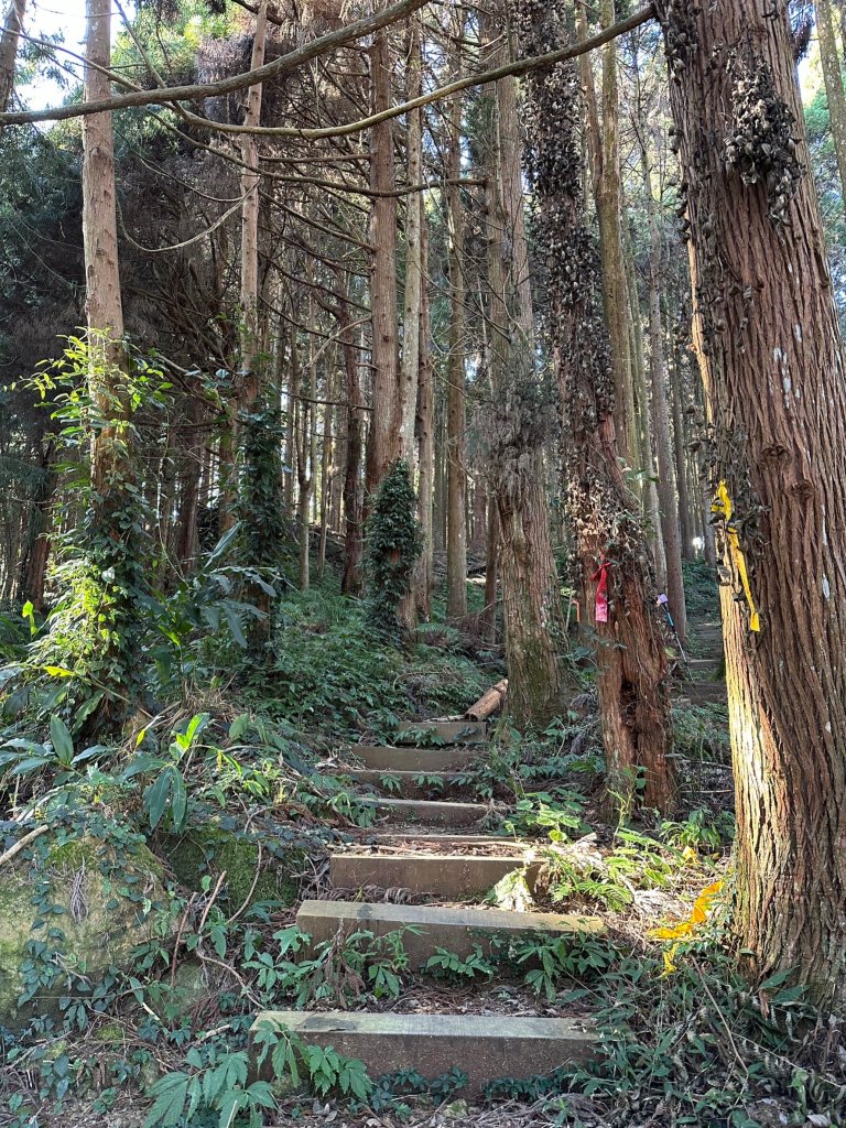 神阿古道縱走_2420675