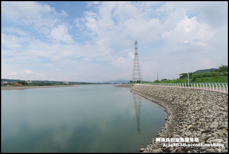 大溪左岸自行車道｜中新里韭菜花海超浪漫｜_1101611