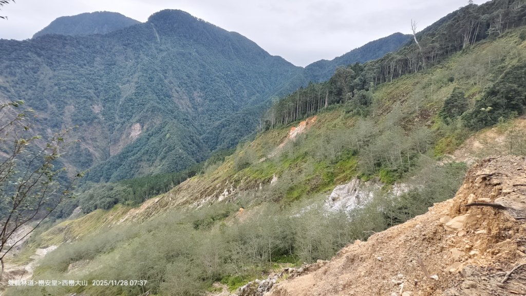 114.11.28-29 雙龍林道~巒安堂~西巒大山_2954849