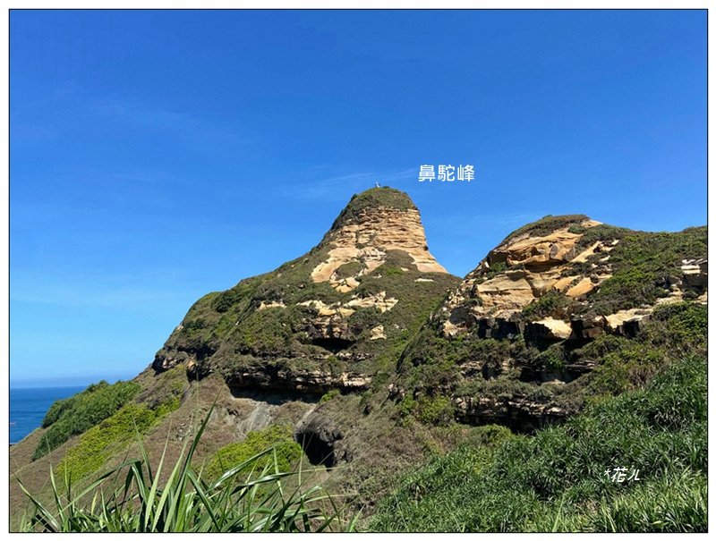 鼻頭角秘境步道、鼻頭角山、鼻頭山 O型一圈封面圖