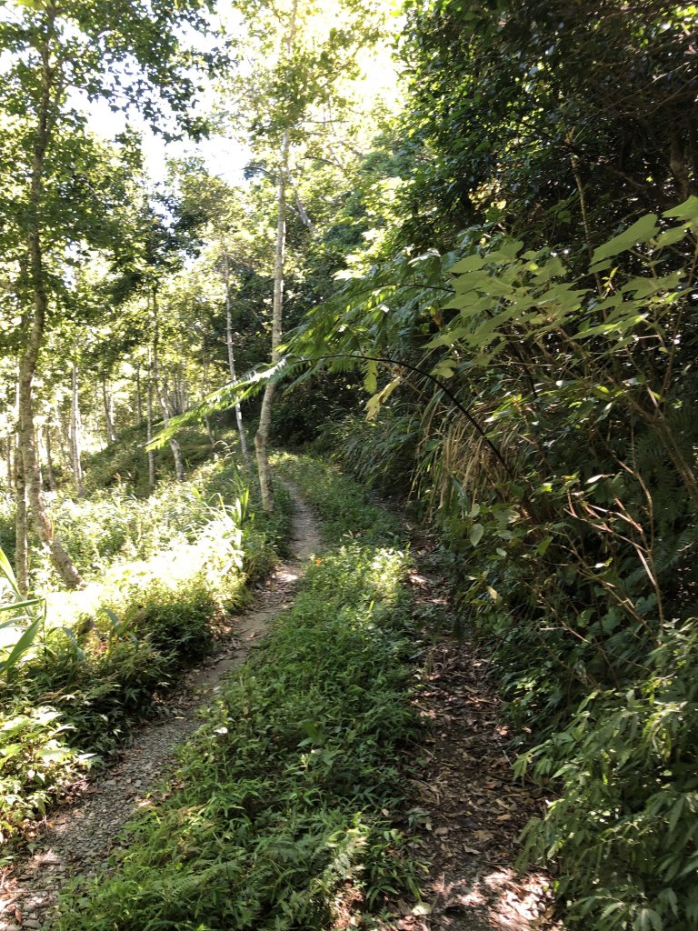 台灣小百岳No.095 加奈美山_1047016